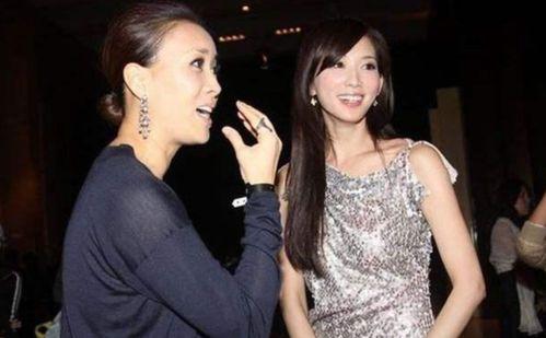 那英林志玲喝酒视频,画面温馨引网友热议