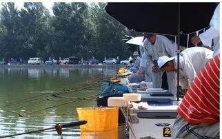 台钓视频教程,视频解析与技巧分享